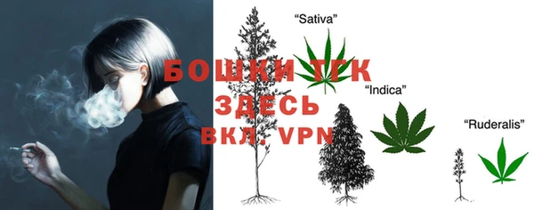хмурый Козельск