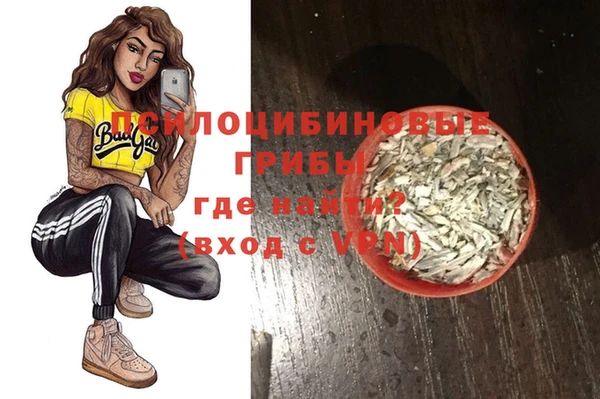 дмт Великий Новгород