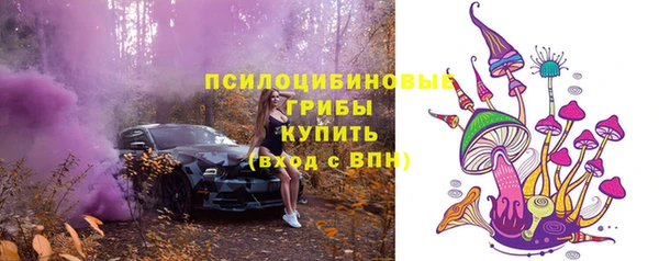 PSILOCYBIN Коряжма